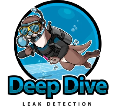 Deep Dive Leak Detection LLC 2